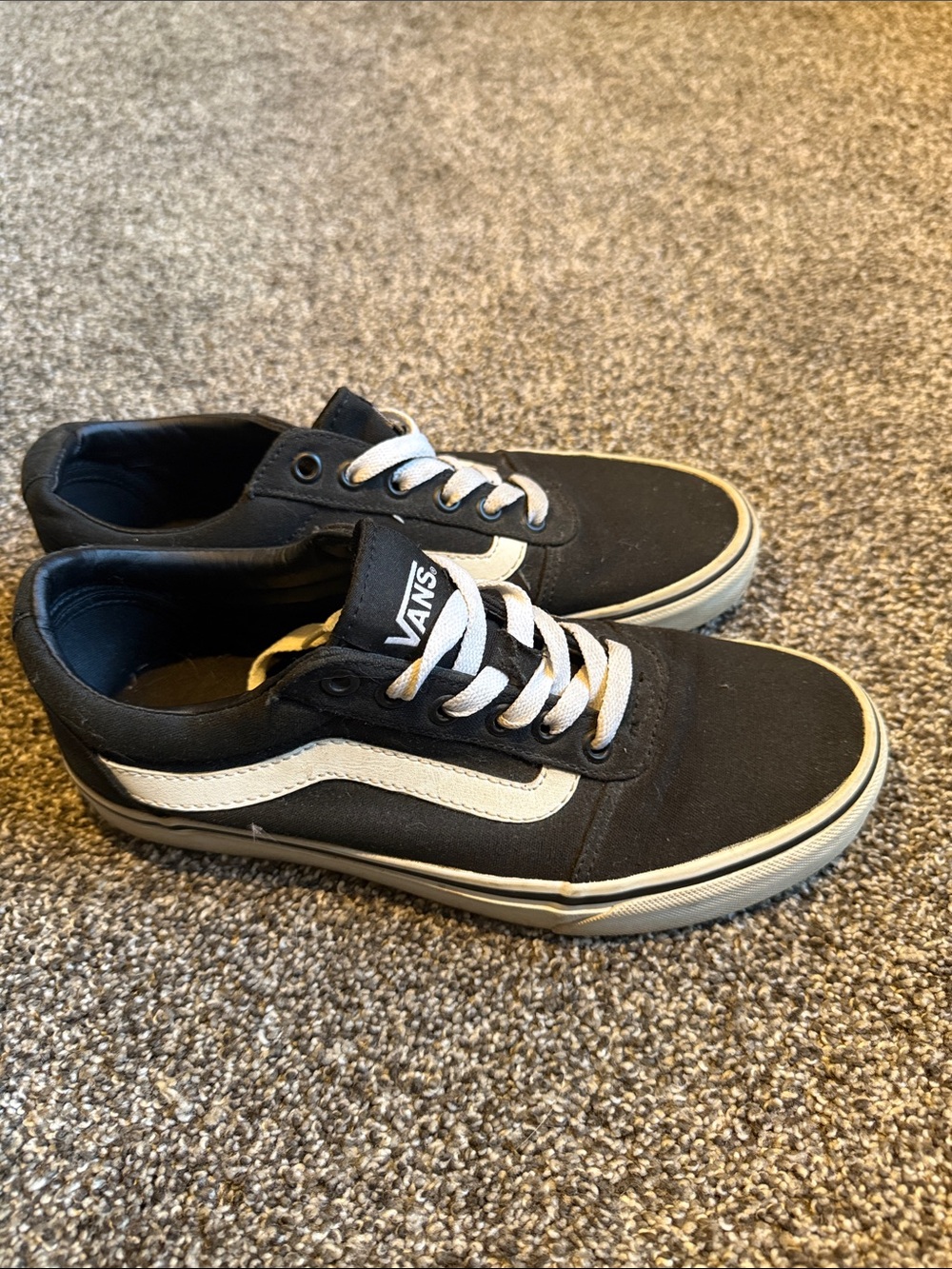 Vans Black and White Low-Top Skate Shoes